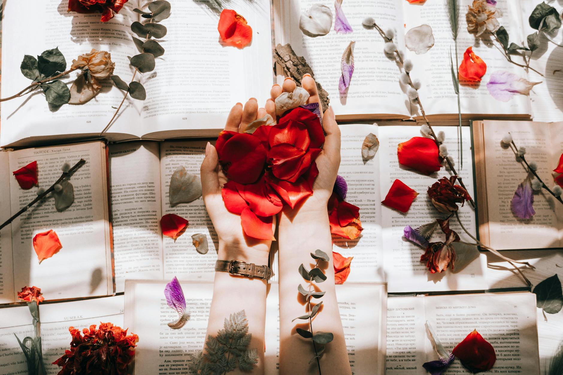 Hands with red petals over open books, surrounded by scattered flowers and petals for artistic composition.