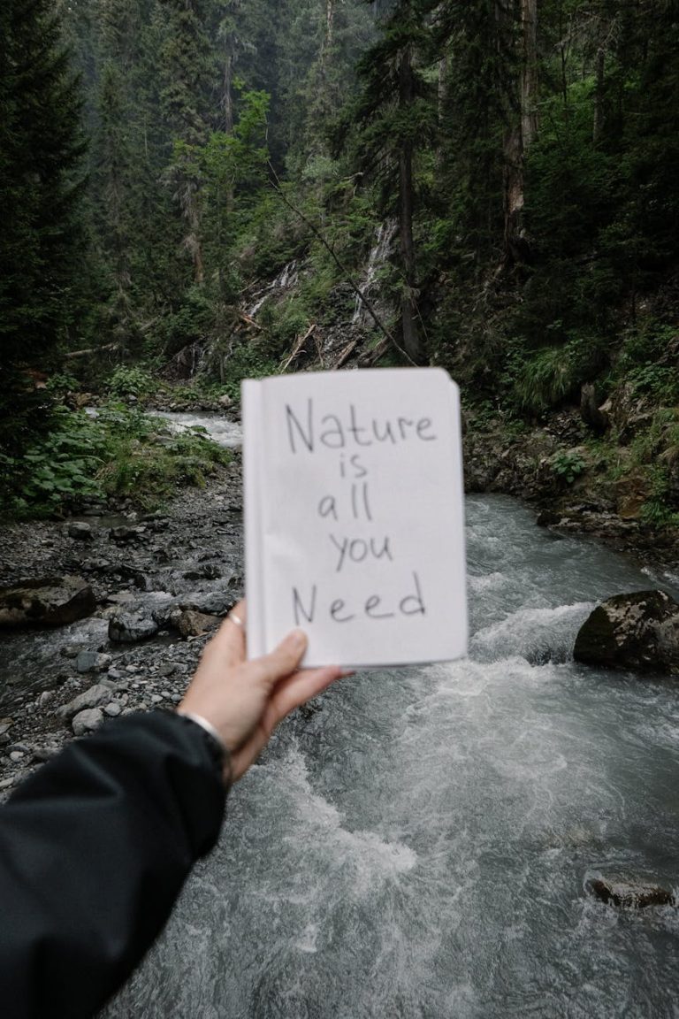 Person holding a notepad with 'Nature is all you need' by a forest stream.