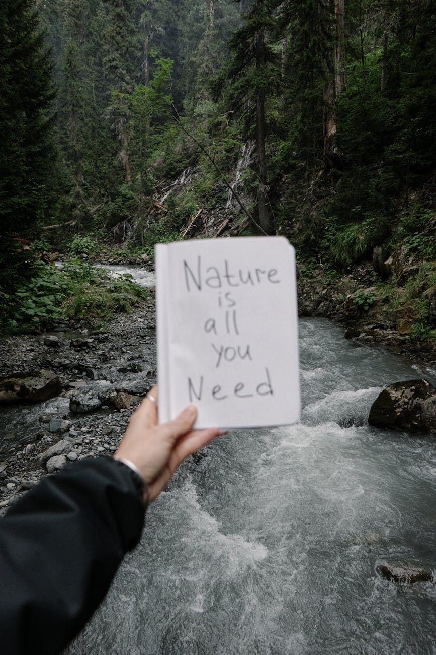 Person holding a notepad with 'Nature is all you need' by a forest stream.