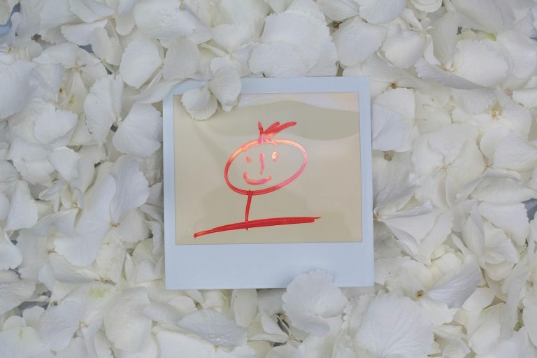 A cute red drawing on Polaroid surrounded by white hydrangea petals.