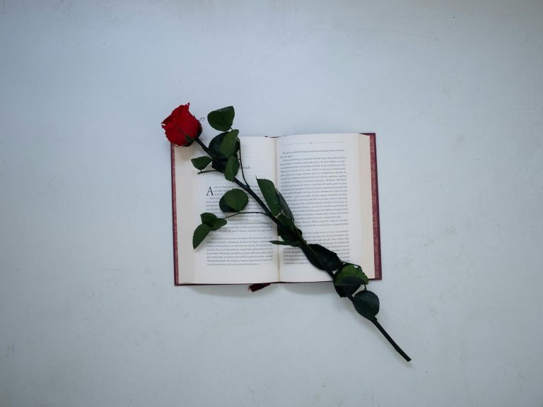 A top view of an open book with a red rose, symbolizing love and literature.